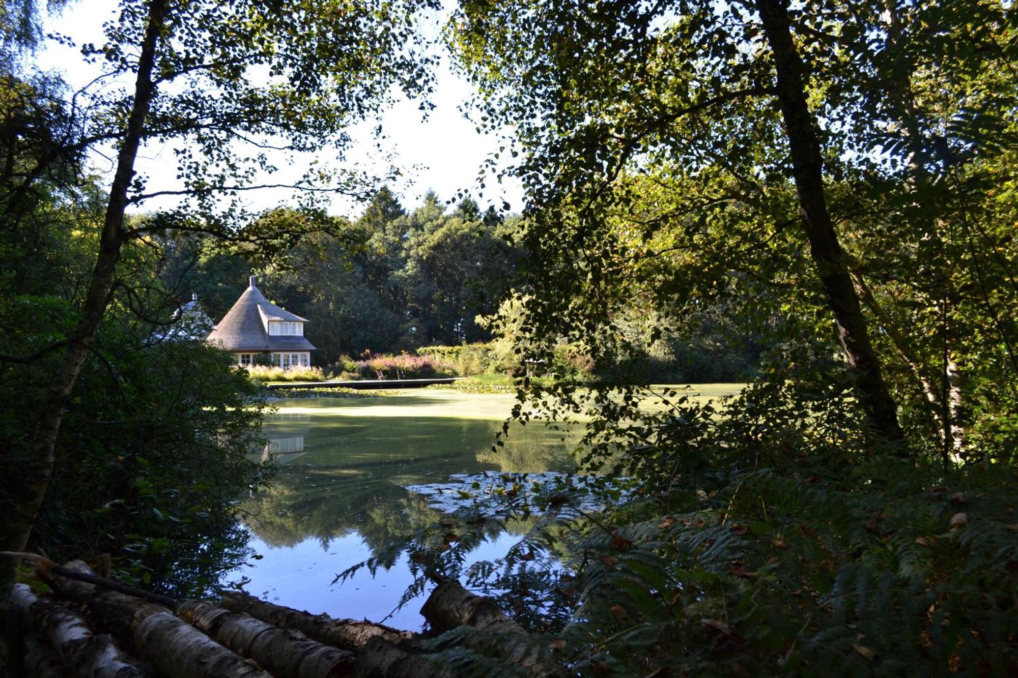 De Specht Villa Anloo Exterior photo